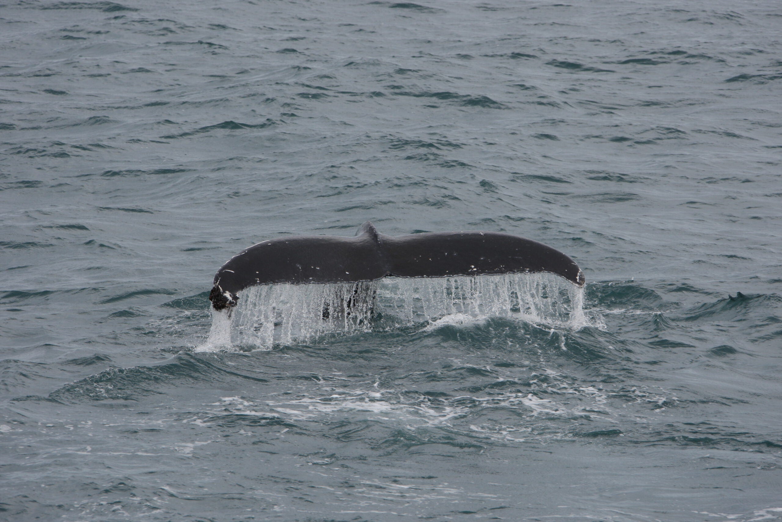 Off Road 4x4 Reis IJsland 2026