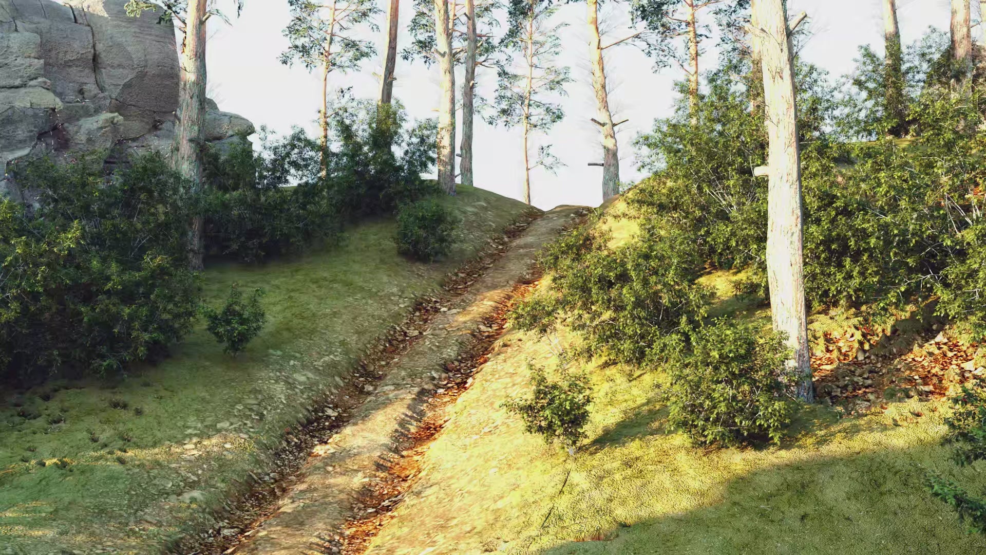 Lier met afstandbediening - Defender